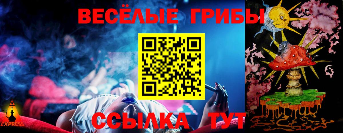 Галлюциногенные грибы Psilocybe Подольск