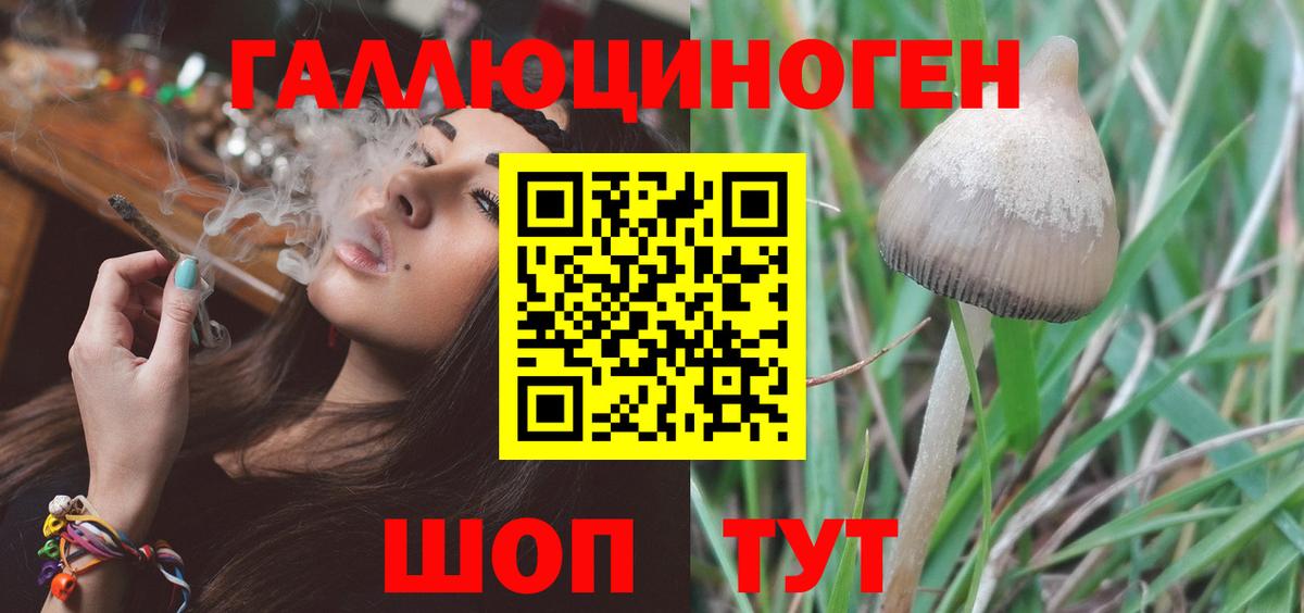 Подольск  Псилоцибиновые грибы Psilocybine cubensis  Вход с VPN 